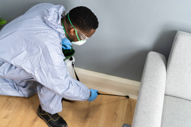 Best Termite Inspection and Treatment  in Beaverton, OR